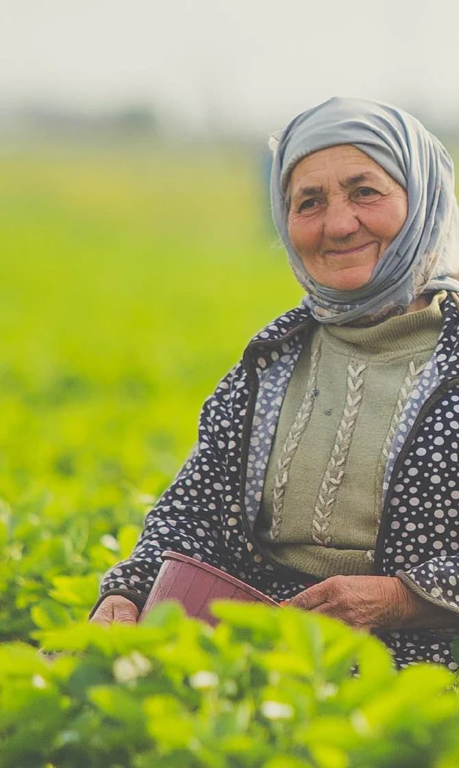 Anadolu'da tarlada hasat yapan üretici kadın